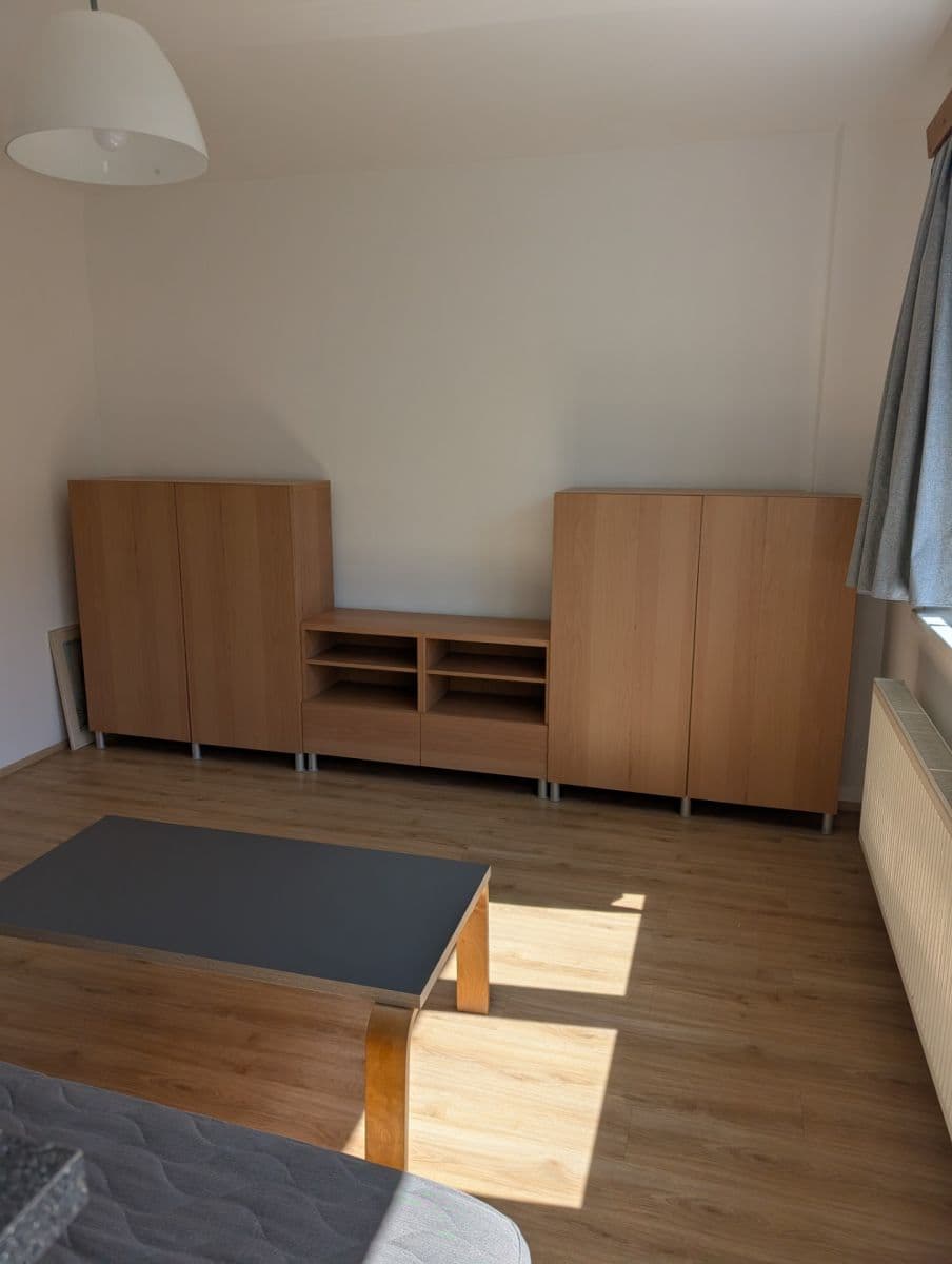 1 bedroom with open-plan kitchen flat to rent, 42 m², Humpolecká, Prague, Prague 1 bedroom with open-plan kitchen flat to rent, 42 m², Humpolecká, Prague, Prague