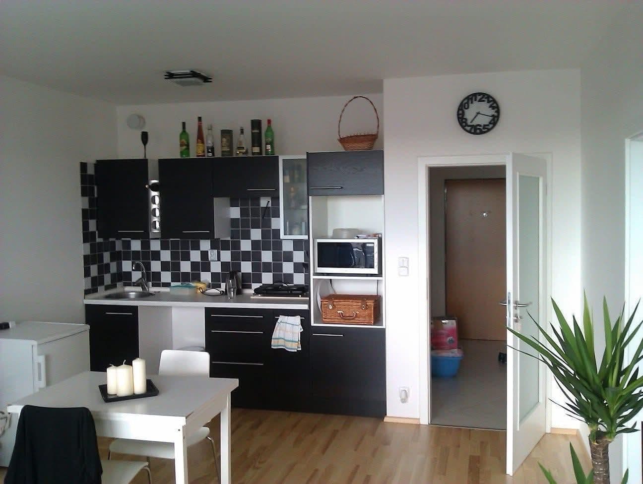 1 bedroom with open-plan kitchen flat to rent, 50 m², Kryšpínova, Prague, Prague 1 bedroom with open-plan kitchen flat to rent, 50 m², Kryšpínova, Prague, Prague