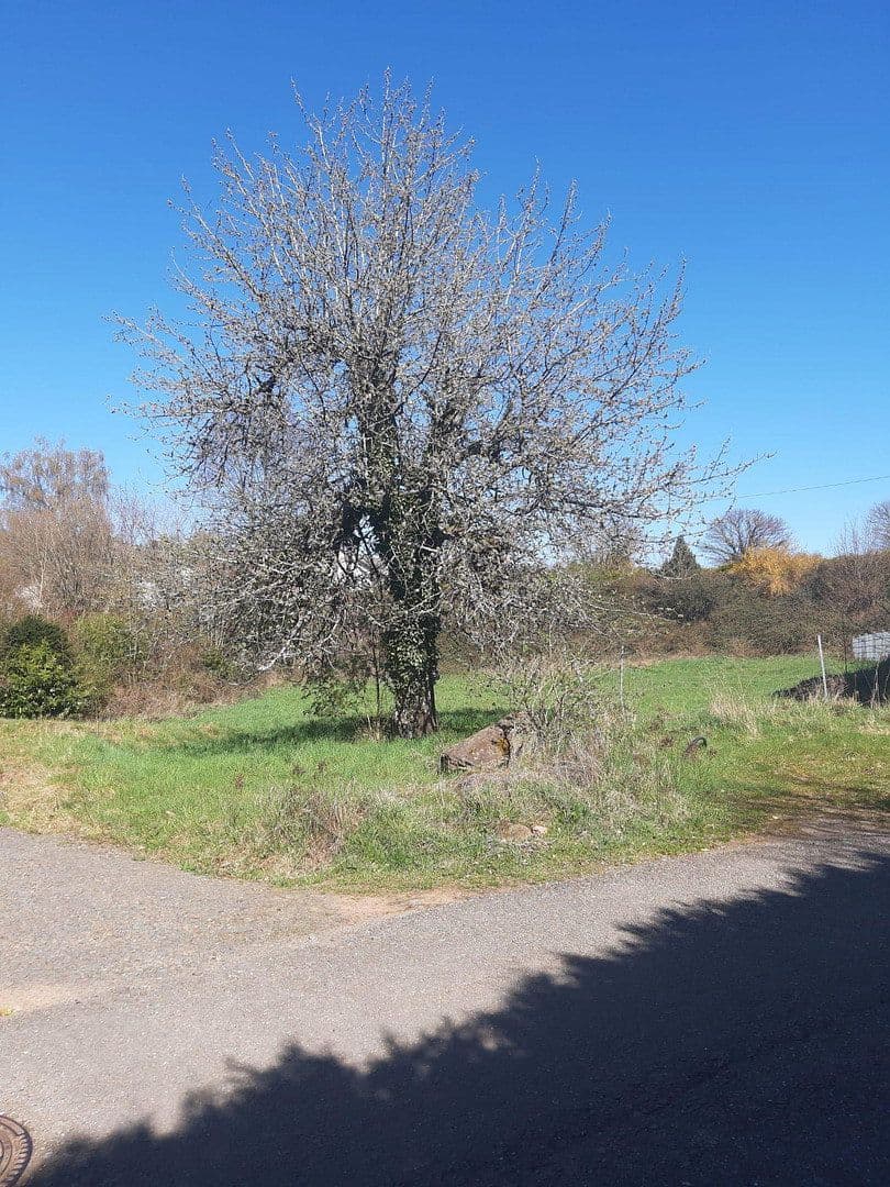 plot for sale, 943 m², Wiesensttaße 6, Trippstadt, Rhineland-Palatinate plot for sale, 943 m², Wiesensttaße 6, Trippstadt, Rhineland-Palatinate