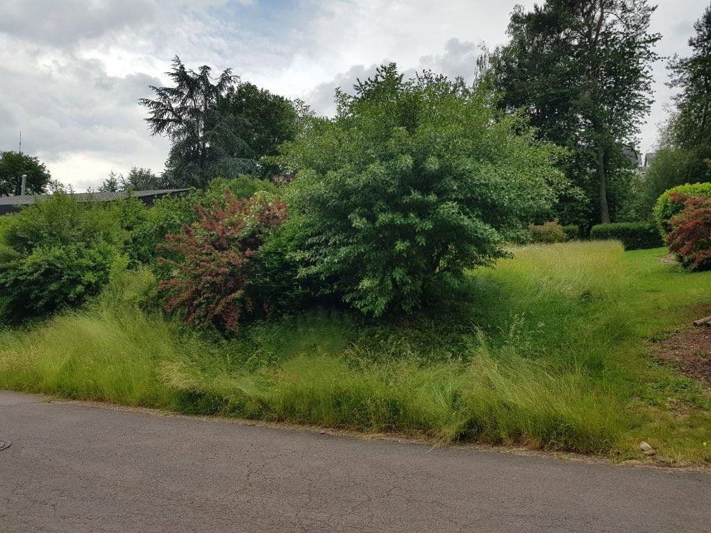 plot for sale, 285 m², Saarburg, Rhineland-Palatinate plot for sale, 285 m², Saarburg, Rhineland-Palatinate
