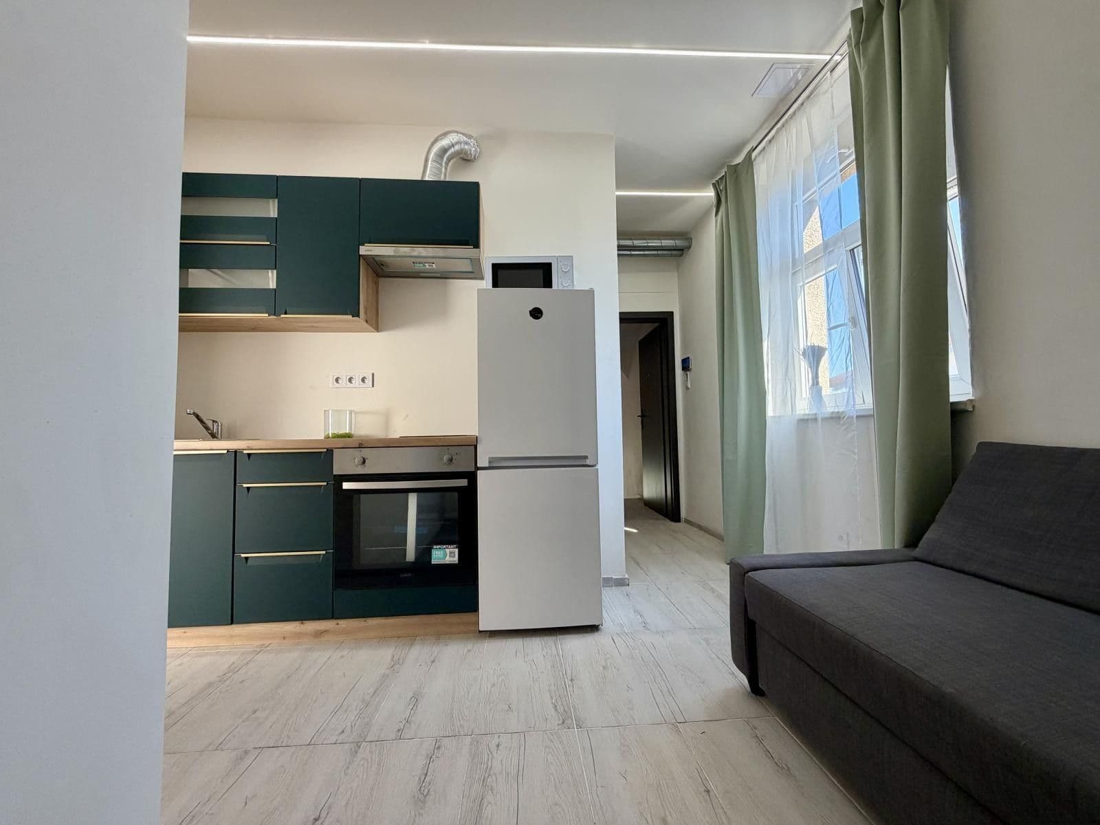 1 bedroom with open-plan kitchen flat to rent, 35 m², Na Jarově, Prague, Prague 1 bedroom with open-plan kitchen flat to rent, 35 m², Na Jarově, Prague, Prague