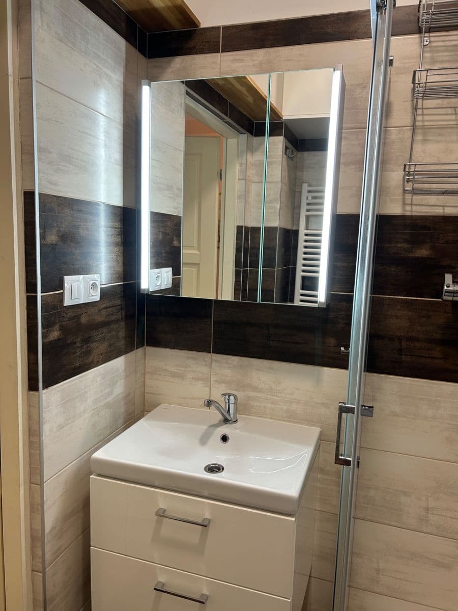 1 bedroom with open-plan kitchen flat to rent, 64 m², Stroupežnického, Prague, Prague 1 bedroom with open-plan kitchen flat to rent, 64 m², Stroupežnického, Prague, Prague