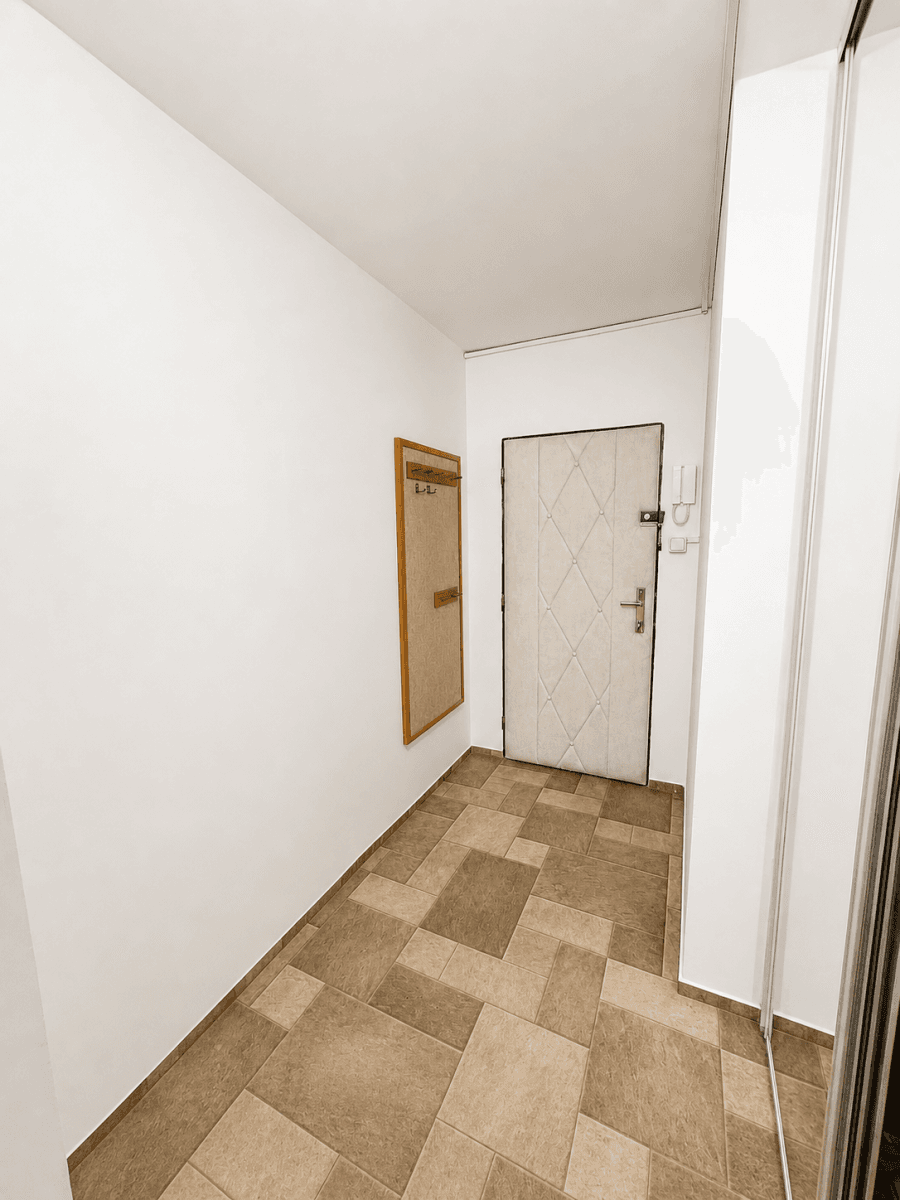 1 bedroom with open-plan kitchen flat for sale, 49 m², Nechvílova, Prague, Prague 1 bedroom with open-plan kitchen flat for sale, 49 m², Nechvílova, Prague, Prague
