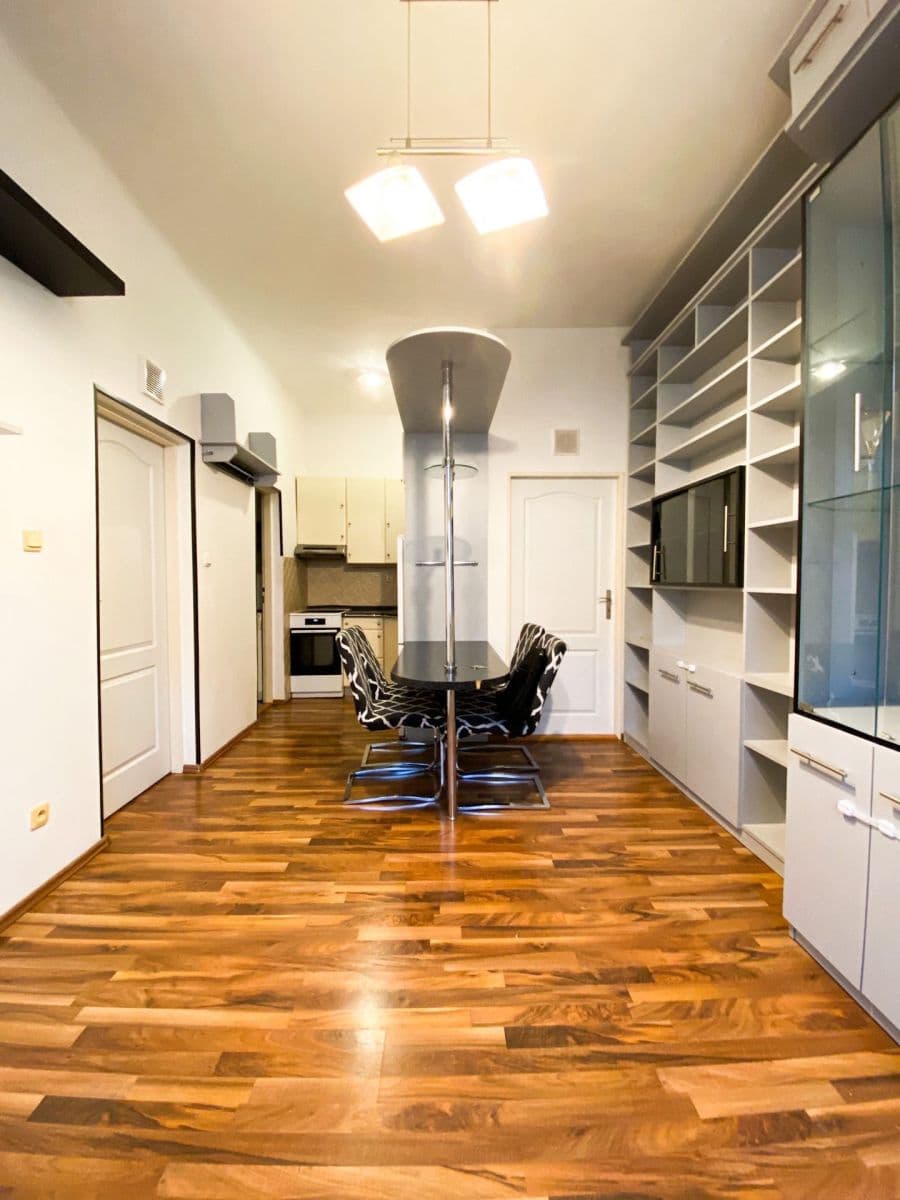 1 bedroom with open-plan kitchen flat to rent, 40 m², U Santošky, Prague, Prague 1 bedroom with open-plan kitchen flat to rent, 40 m², U Santošky, Prague, Prague
