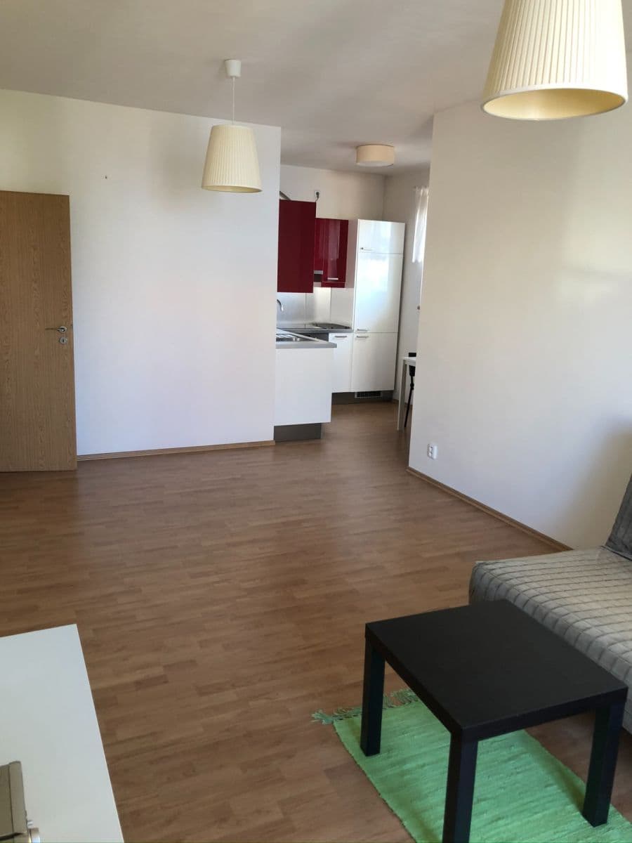 1 bedroom with open-plan kitchen flat to rent, 54 m², Rychtáře Petříka, Prague, Prague 1 bedroom with open-plan kitchen flat to rent, 54 m², Rychtáře Petříka, Prague, Prague