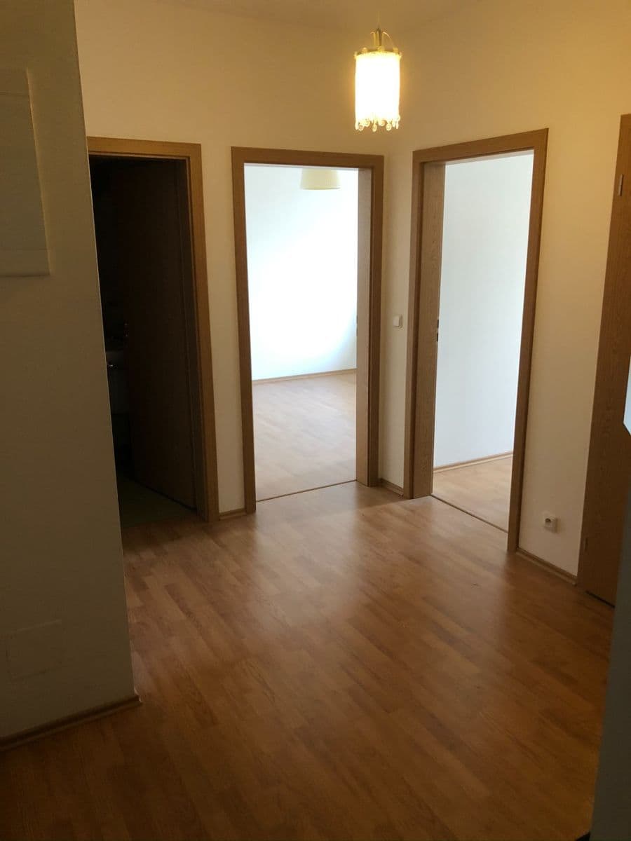 1 bedroom with open-plan kitchen flat to rent, 54 m², Rychtáře Petříka, Prague, Prague 1 bedroom with open-plan kitchen flat to rent, 54 m², Rychtáře Petříka, Prague, Prague