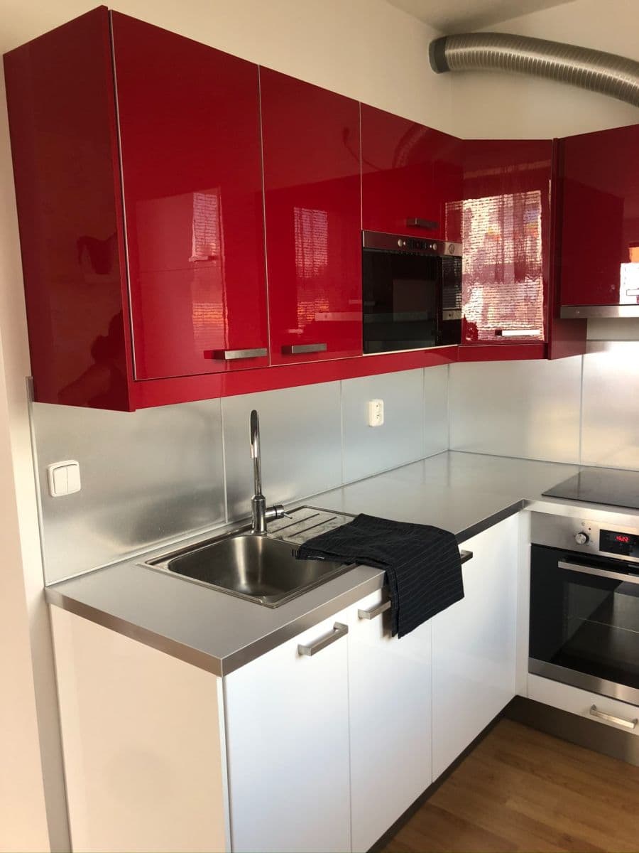 1 bedroom with open-plan kitchen flat to rent, 54 m², Rychtáře Petříka, Prague, Prague 1 bedroom with open-plan kitchen flat to rent, 54 m², Rychtáře Petříka, Prague, Prague