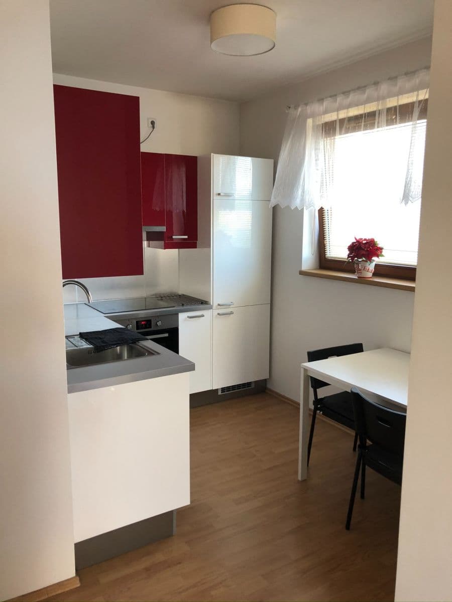 1 bedroom with open-plan kitchen flat to rent, 54 m², Rychtáře Petříka, Prague, Prague 1 bedroom with open-plan kitchen flat to rent, 54 m², Rychtáře Petříka, Prague, Prague