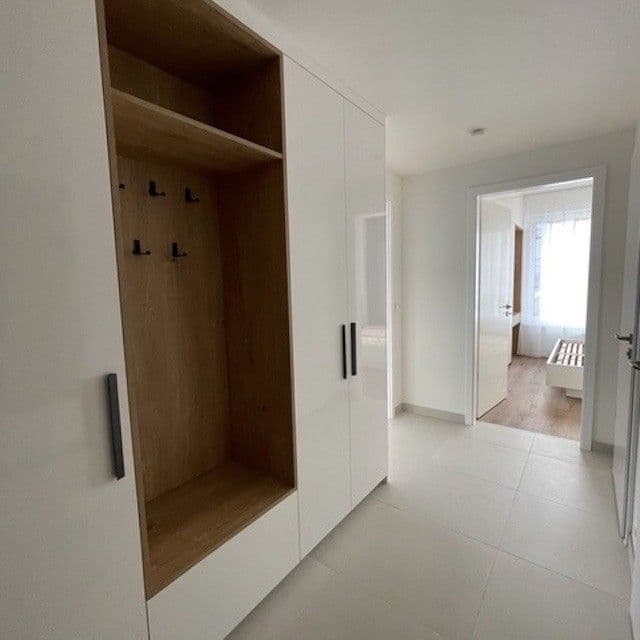 1 bedroom with open-plan kitchen flat to rent, 48 m², Na Palouku, Prague, Prague 1 bedroom with open-plan kitchen flat to rent, 48 m², Na Palouku, Prague, Prague