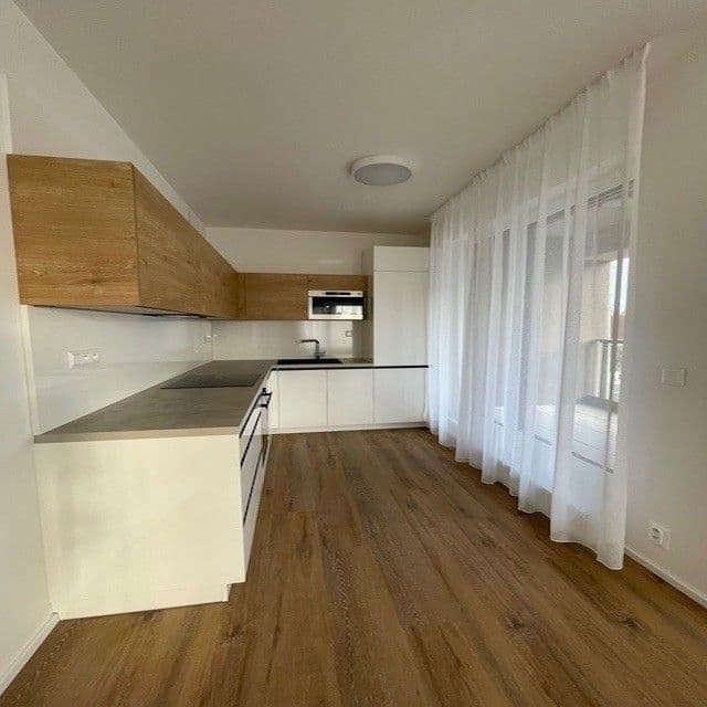 1 bedroom with open-plan kitchen flat to rent, 48 m², Na Palouku, Prague, Prague 1 bedroom with open-plan kitchen flat to rent, 48 m², Na Palouku, Prague, Prague