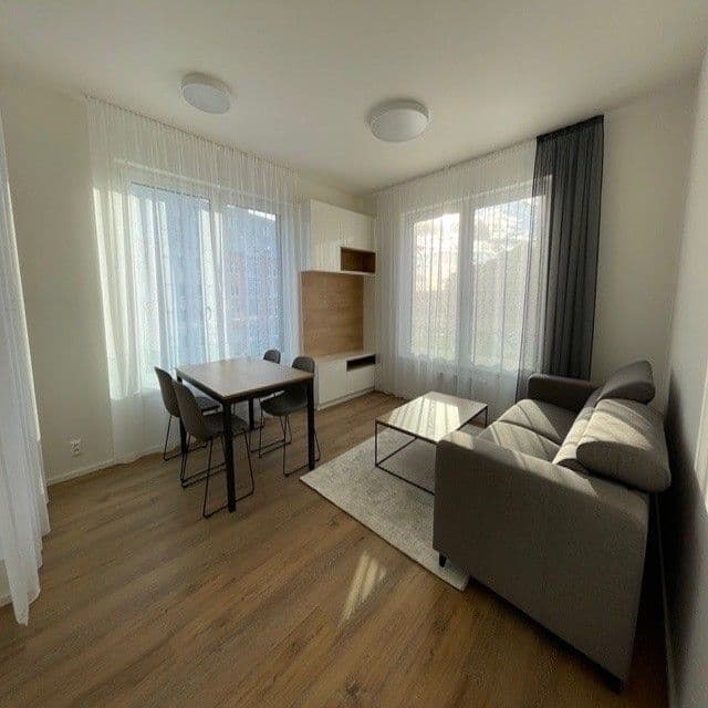 1 bedroom with open-plan kitchen flat to rent, 48 m², Na Palouku, Prague, Prague 1 bedroom with open-plan kitchen flat to rent, 48 m², Na Palouku, Prague, Prague