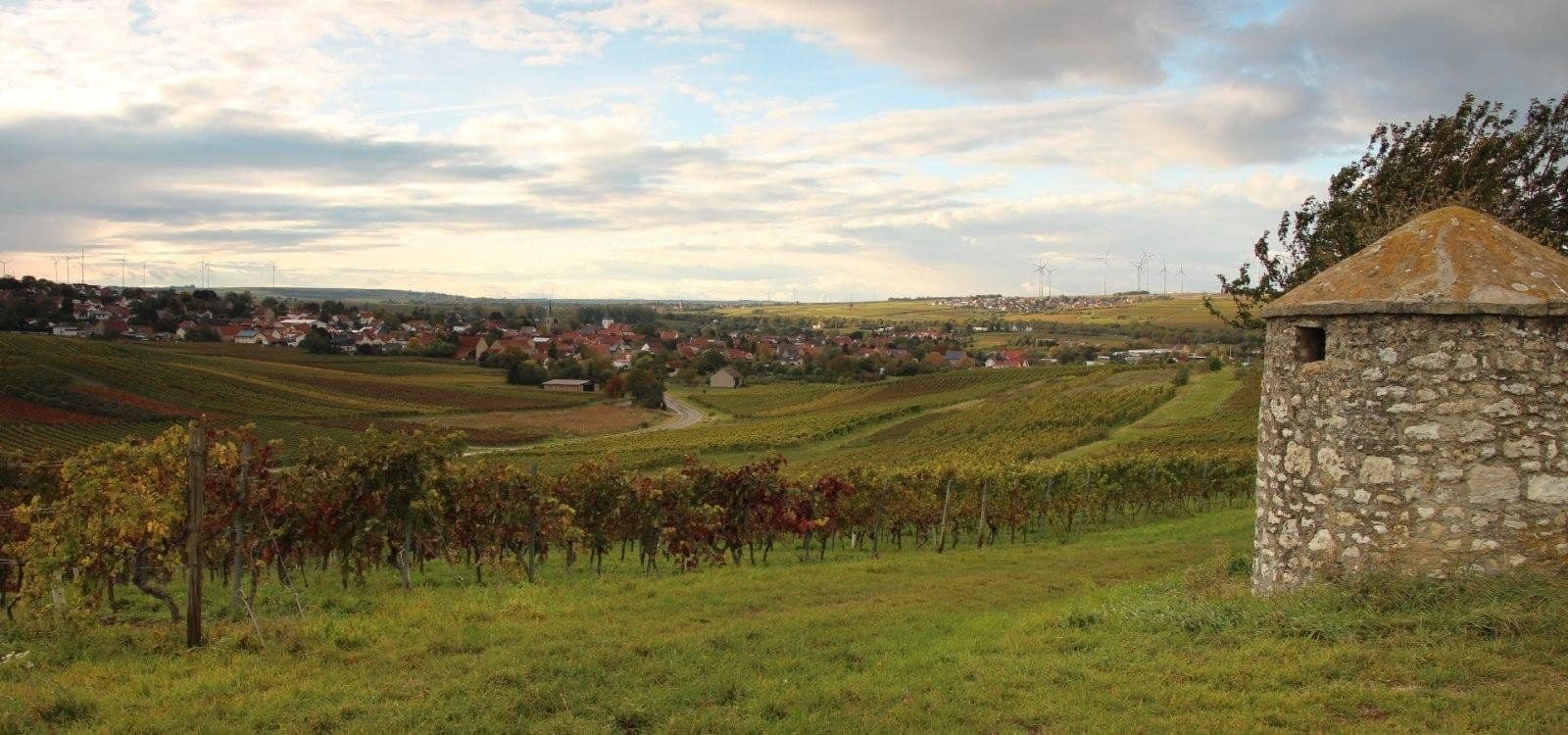 plot for sale, 1,500 m², Gundersheim, Rhineland-Palatinate plot for sale, 1,500 m², Gundersheim, Rhineland-Palatinate