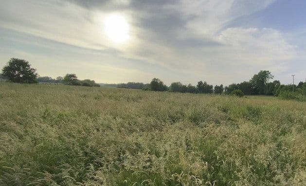 plot to rent, 14,000 m², Hohenwestedt, Schleswig-Holstein plot to rent, 14,000 m², Hohenwestedt, Schleswig-Holstein