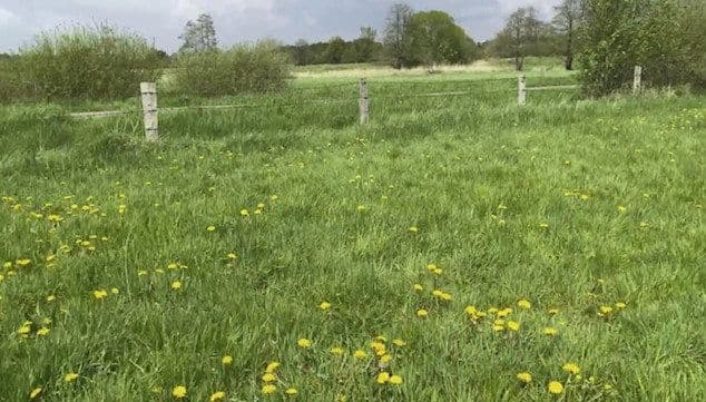 plot to rent, 14,000 m², Hohenwestedt, Schleswig-Holstein plot to rent, 14,000 m², Hohenwestedt, Schleswig-Holstein