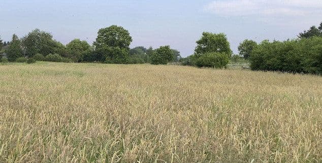 plot to rent, 14,000 m², Hohenwestedt, Schleswig-Holstein plot to rent, 14,000 m², Hohenwestedt, Schleswig-Holstein