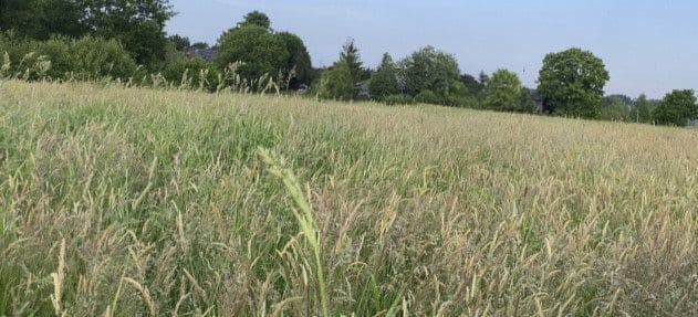 plot to rent, 14,000 m², Hohenwestedt, Schleswig-Holstein plot to rent, 14,000 m², Hohenwestedt, Schleswig-Holstein