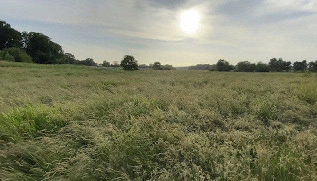 plot to rent, 14,000 m², Hohenwestedt, Schleswig-Holstein plot to rent, 14,000 m², Hohenwestedt, Schleswig-Holstein