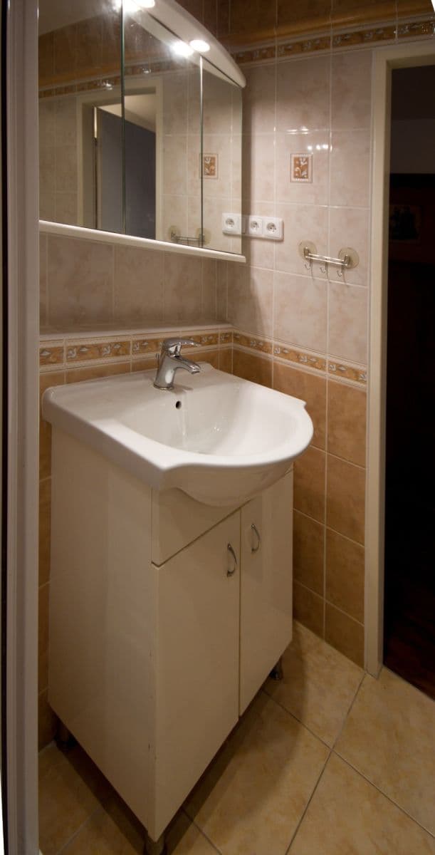 1 bedroom with open-plan kitchen flat to rent, 47 m², Ve Svahu, Prague, Prague 1 bedroom with open-plan kitchen flat to rent, 47 m², Ve Svahu, Prague, Prague
