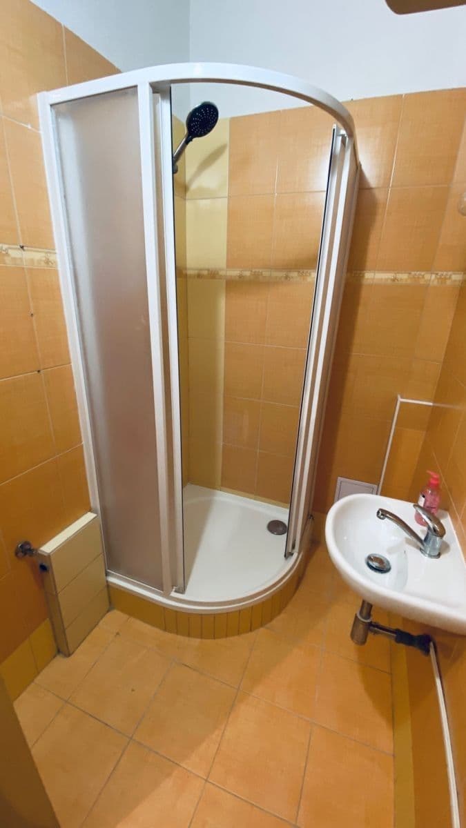 1 bedroom with open-plan kitchen flat to rent, 50 m², Komunardů, Prague, Prague 1 bedroom with open-plan kitchen flat to rent, 50 m², Komunardů, Prague, Prague
