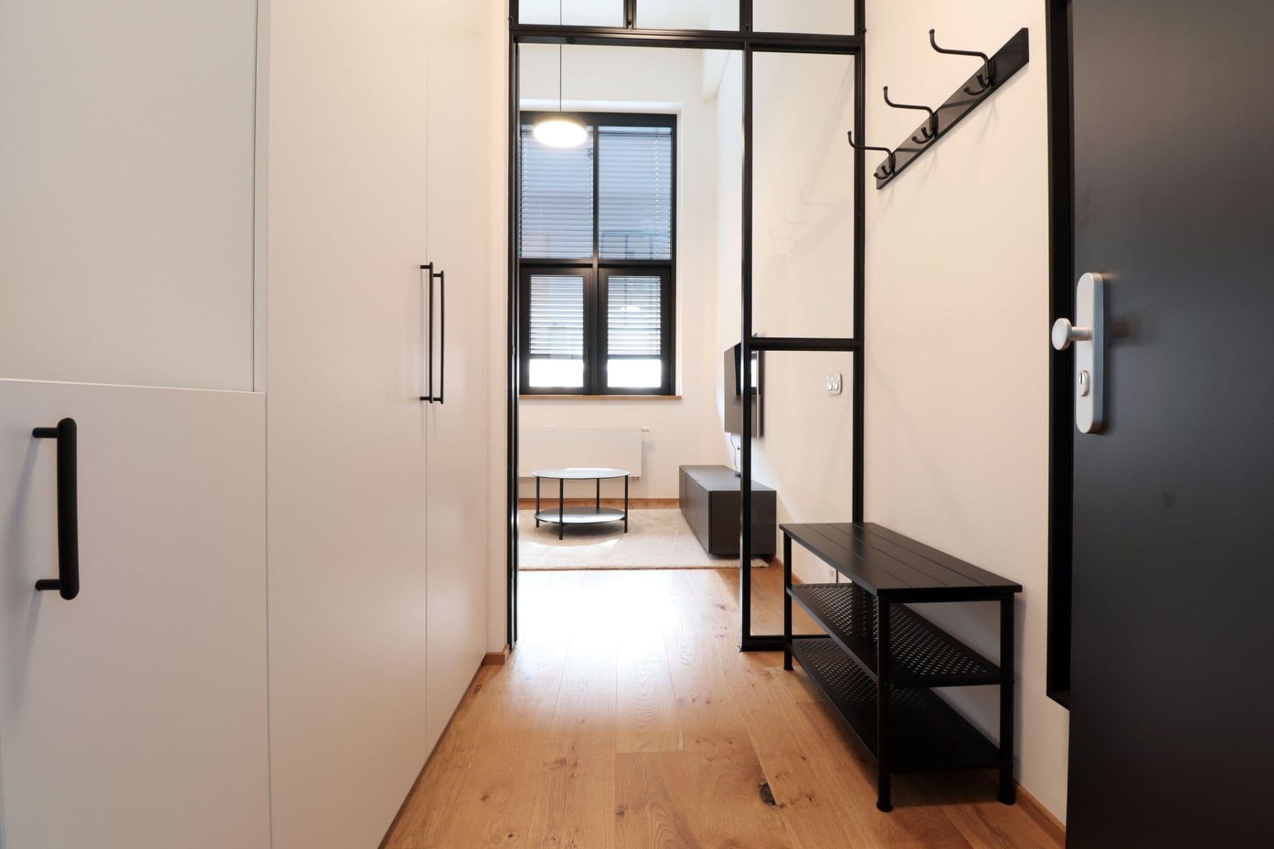 1 bedroom with open-plan kitchen flat to rent, 55 m², Naskové, Prague, Prague 1 bedroom with open-plan kitchen flat to rent, 55 m², Naskové, Prague, Prague