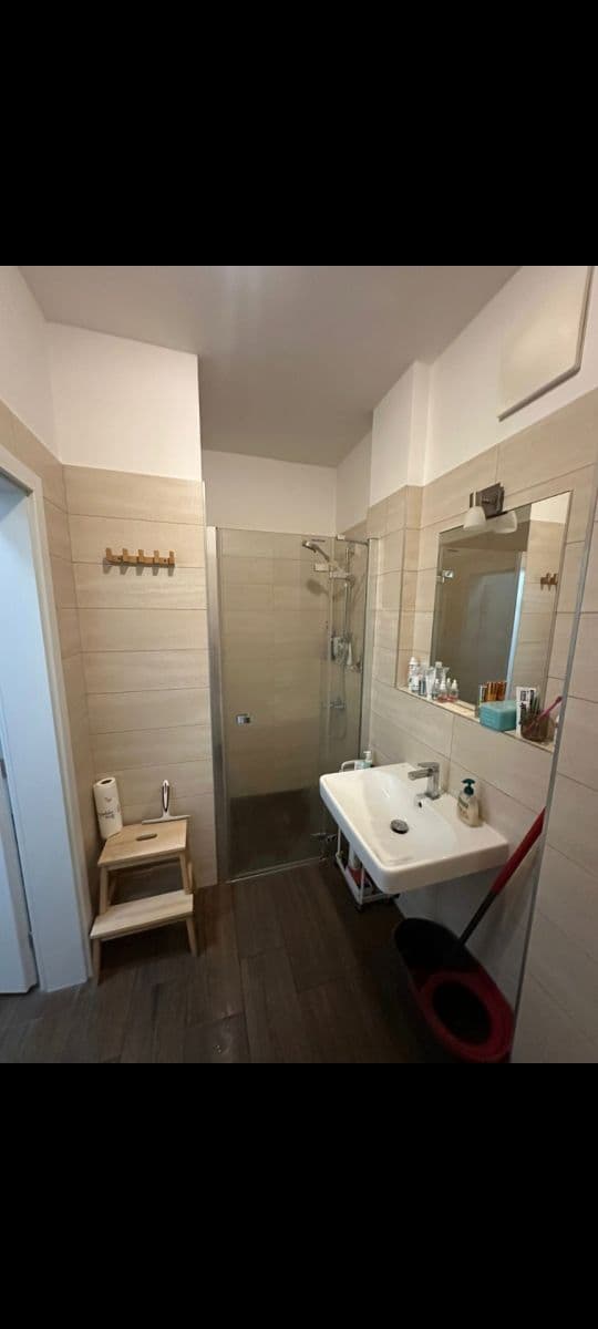 Studio flat to rent, 35 m², U Mlýnského kanálu, Prague, Prague Studio flat to rent, 35 m², U Mlýnského kanálu, Prague, Prague