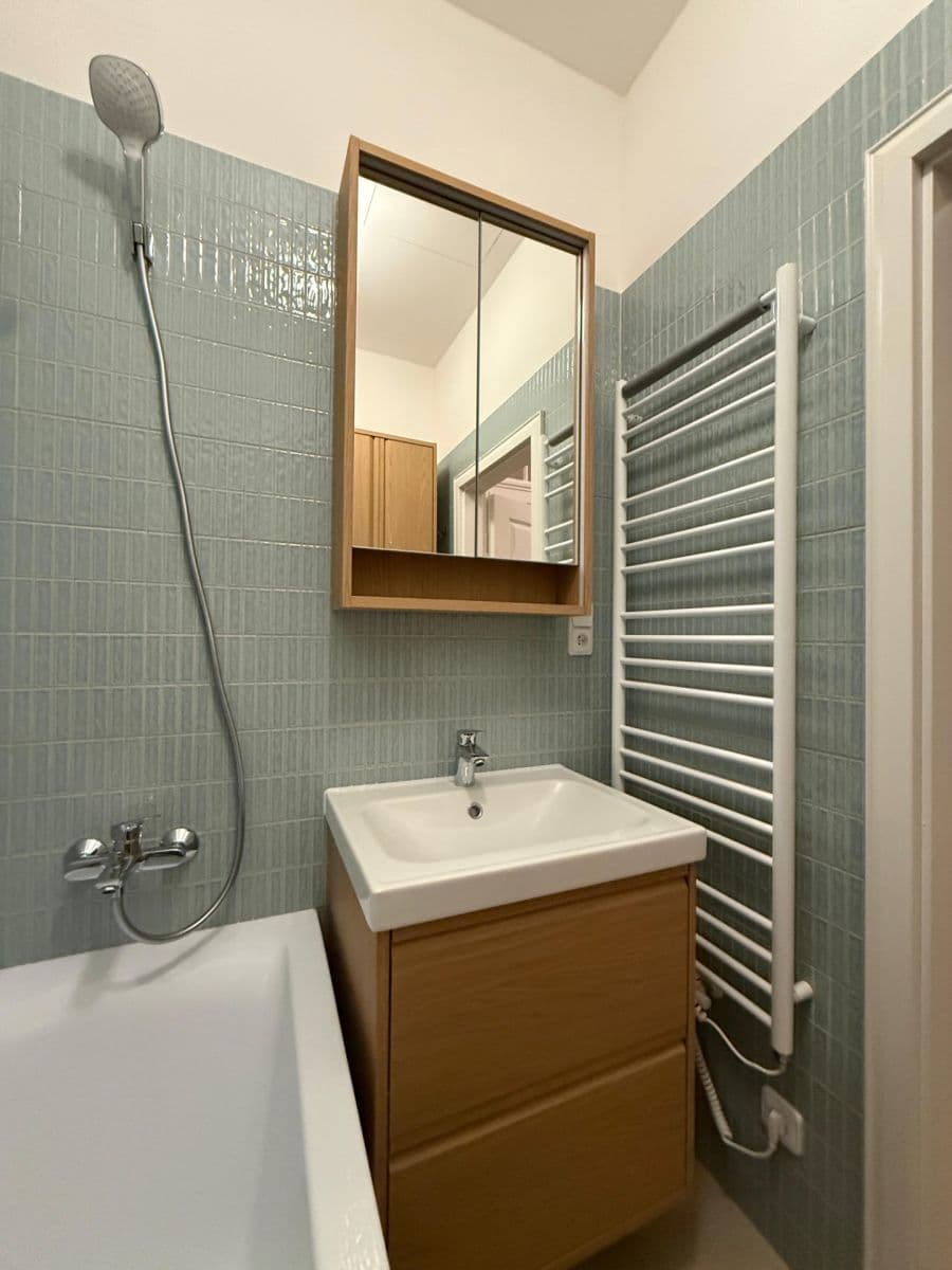 3 bedroom with open-plan kitchen flat to rent, 85 m², Záhořanského, Prague, Prague 3 bedroom with open-plan kitchen flat to rent, 85 m², Záhořanského, Prague, Prague