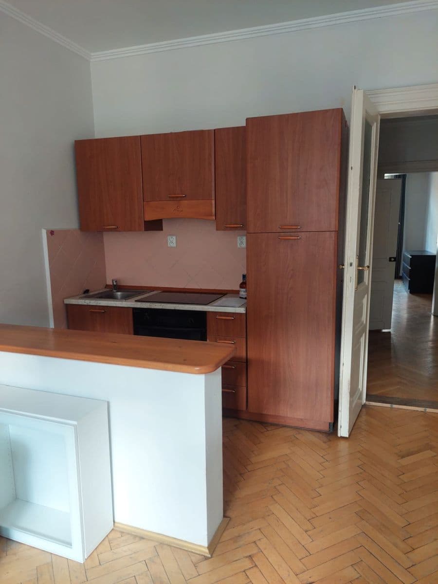1 bedroom with open-plan kitchen flat to rent, 50 m², Na Výtoni, Prague, Prague 1 bedroom with open-plan kitchen flat to rent, 50 m², Na Výtoni, Prague, Prague