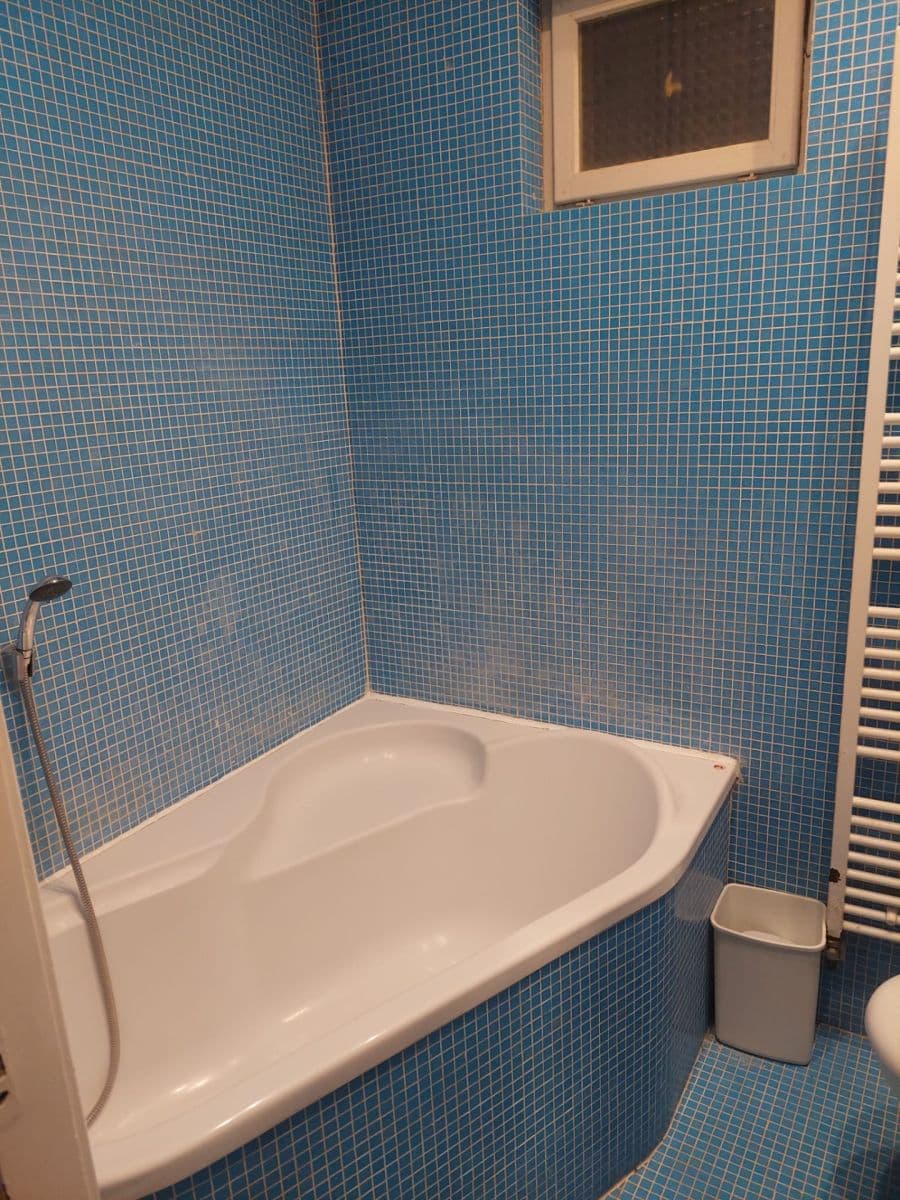 1 bedroom with open-plan kitchen flat to rent, 50 m², Na Výtoni, Prague, Prague 1 bedroom with open-plan kitchen flat to rent, 50 m², Na Výtoni, Prague, Prague