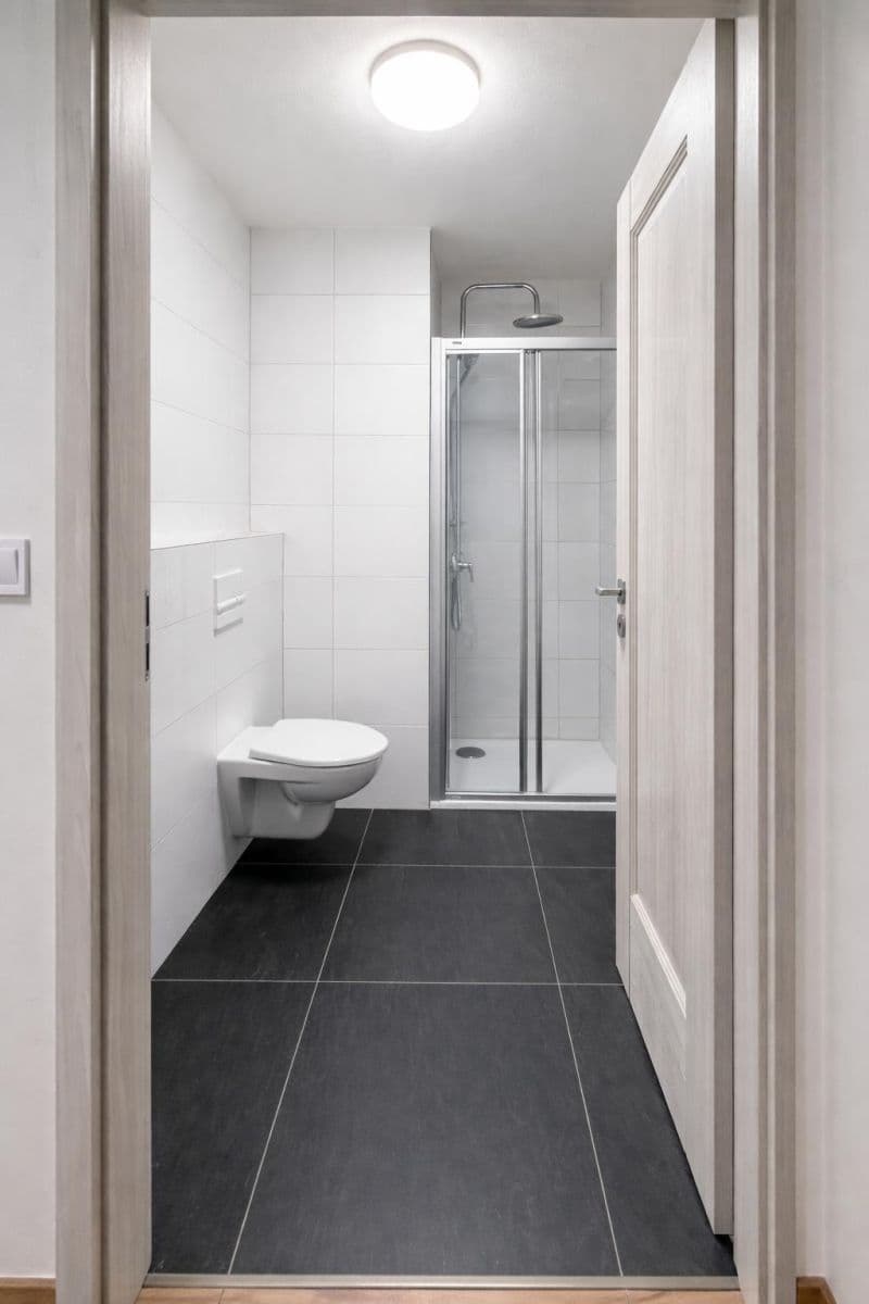 Studio flat to rent, 36 m², Na Petynce, Prague, Prague Studio flat to rent, 36 m², Na Petynce, Prague, Prague