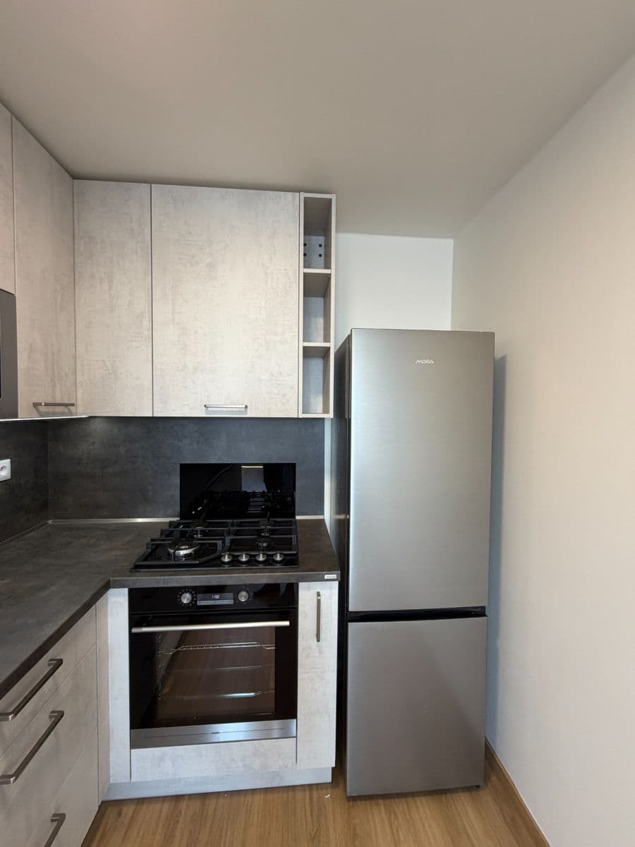 1 bedroom with open-plan kitchen flat to rent, 43 m², Mnichovická, Prague, Prague 1 bedroom with open-plan kitchen flat to rent, 43 m², Mnichovická, Prague, Prague
