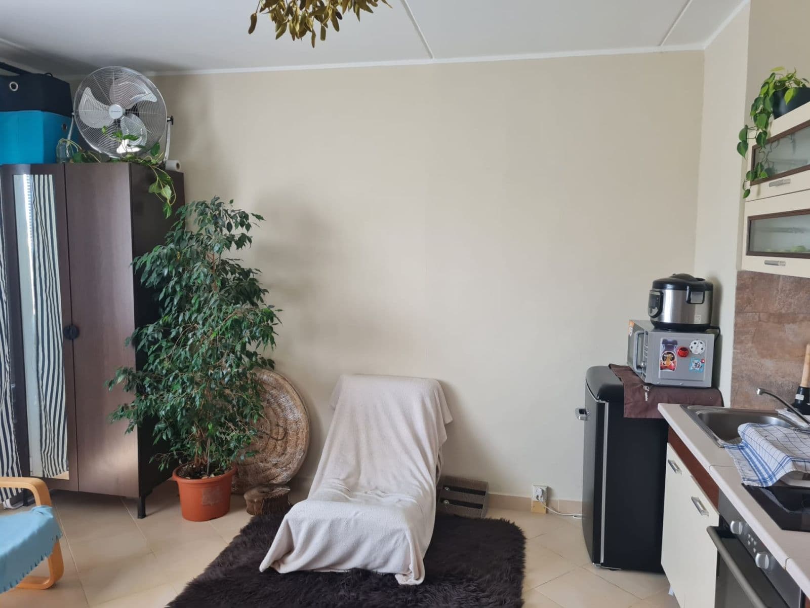 Studio flat to rent, 36 m², Jesenická, Plzeň, Plzeňský Region Studio flat to rent, 36 m², Jesenická, Plzeň, Plzeňský Region