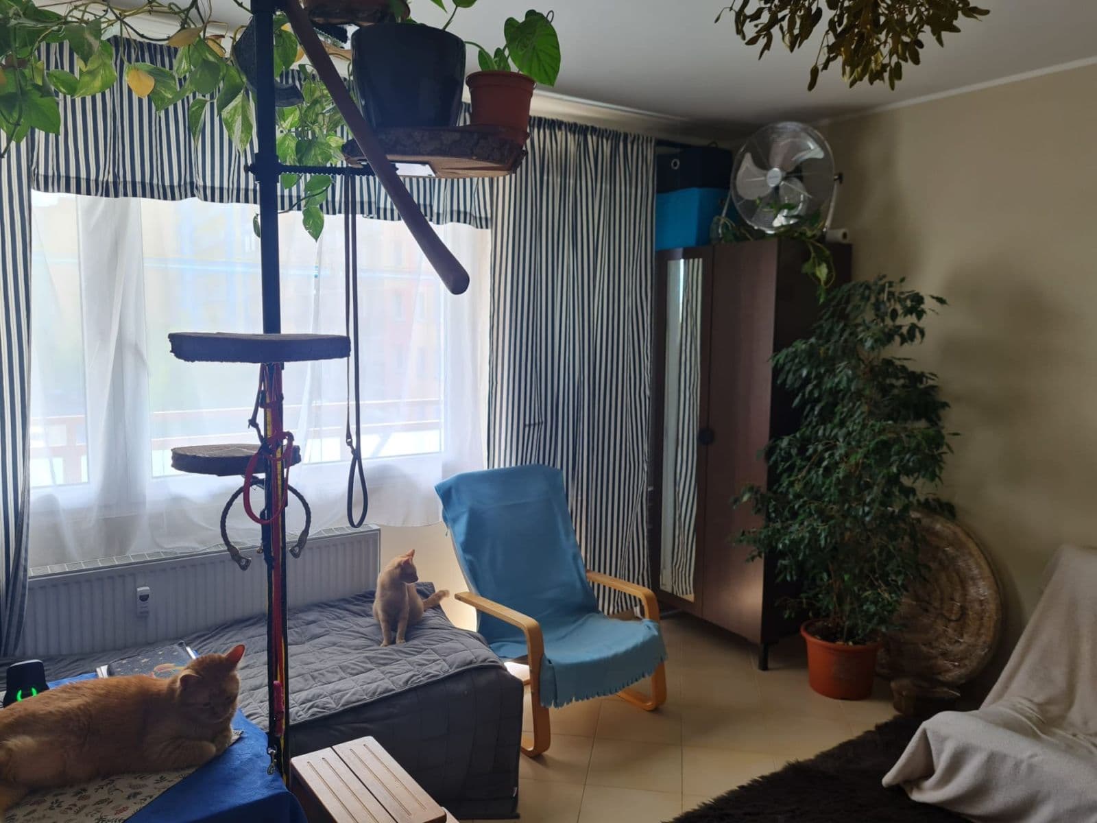 Studio flat to rent, 36 m², Jesenická, Plzeň, Plzeňský Region Studio flat to rent, 36 m², Jesenická, Plzeň, Plzeňský Region