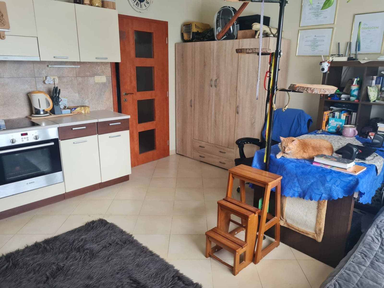 Studio flat to rent, 36 m², Jesenická, Plzeň, Plzeňský Region Studio flat to rent, 36 m², Jesenická, Plzeň, Plzeňský Region