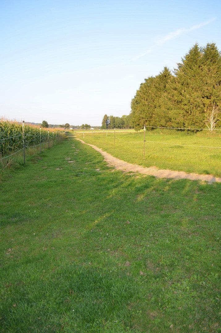 plot for sale, 15,000 m², Leutkirch im Allgäu, Baden-Württemberg plot for sale, 15,000 m², Leutkirch im Allgäu, Baden-Württemberg