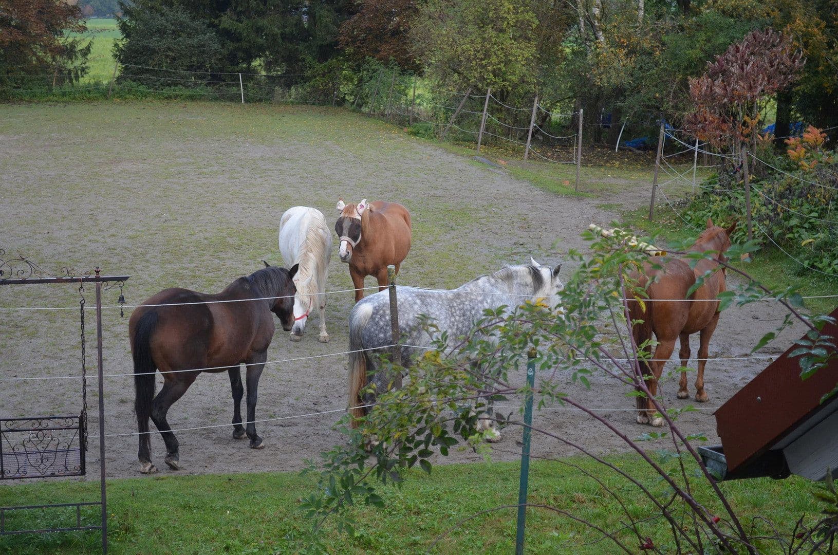 plot for sale, 15,000 m², Leutkirch im Allgäu, Baden-Württemberg plot for sale, 15,000 m², Leutkirch im Allgäu, Baden-Württemberg