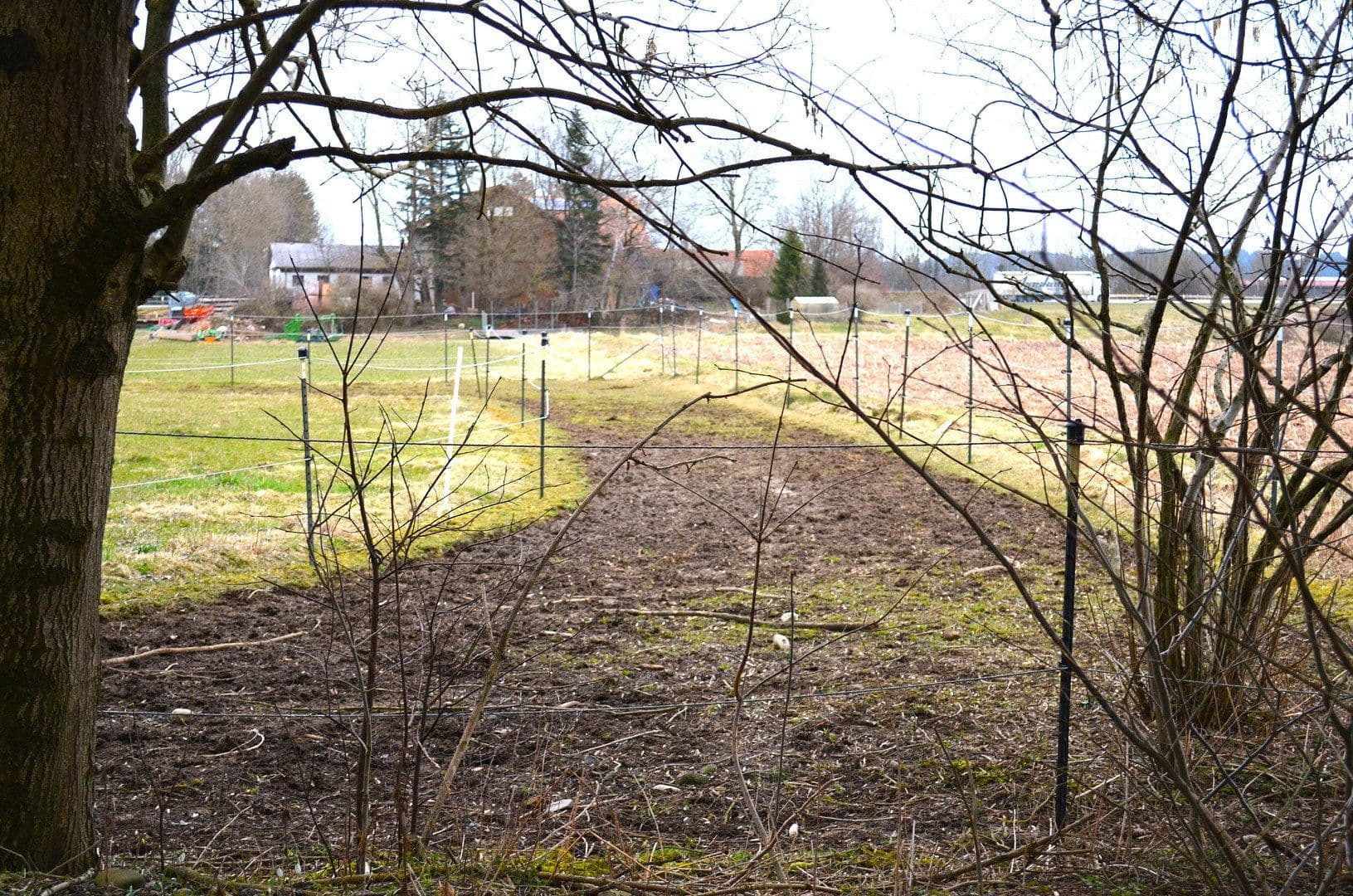 plot for sale, 15,000 m², Leutkirch im Allgäu, Baden-Württemberg plot for sale, 15,000 m², Leutkirch im Allgäu, Baden-Württemberg