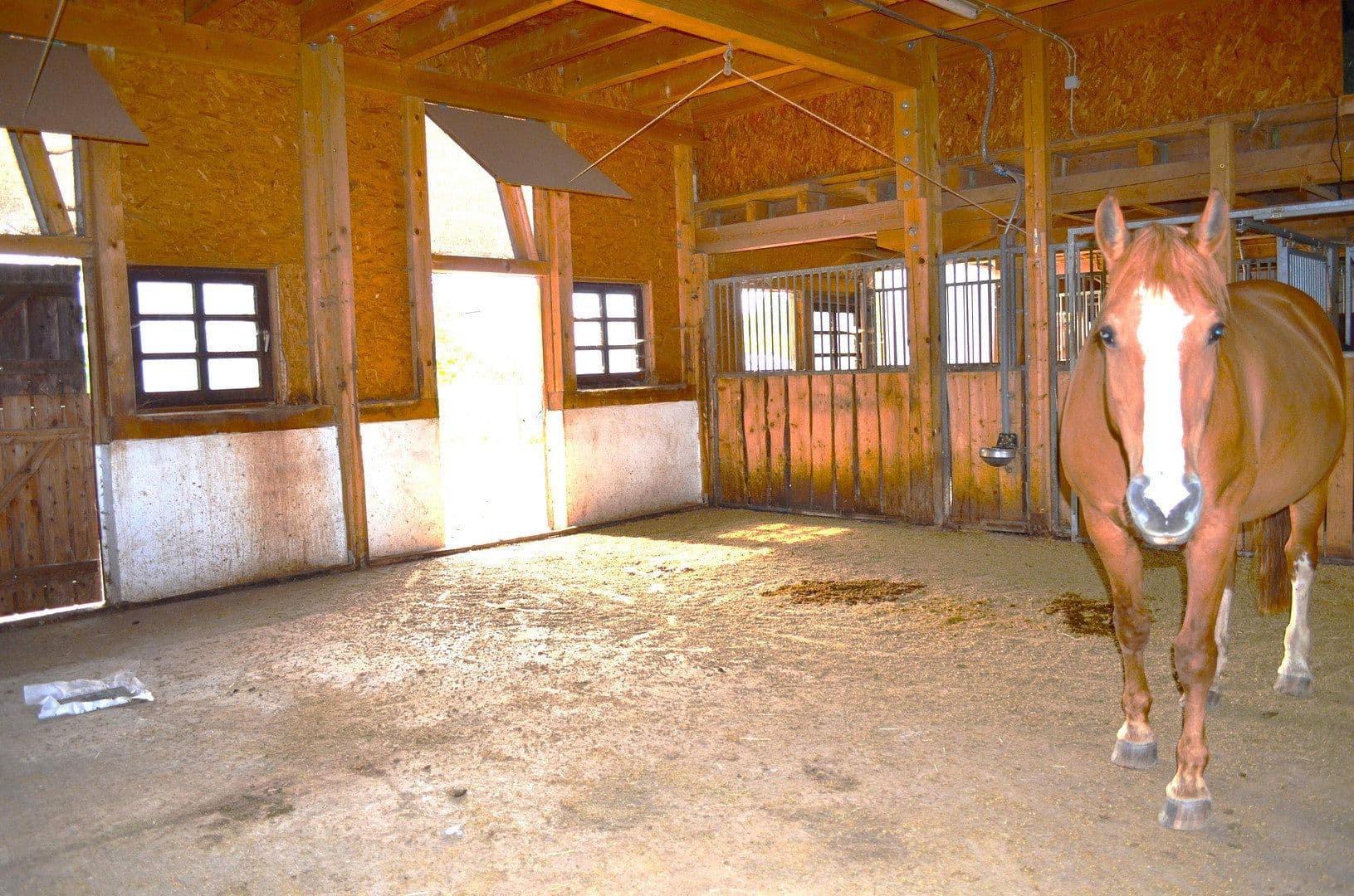 plot for sale, 15,000 m², Leutkirch im Allgäu, Baden-Württemberg plot for sale, 15,000 m², Leutkirch im Allgäu, Baden-Württemberg
