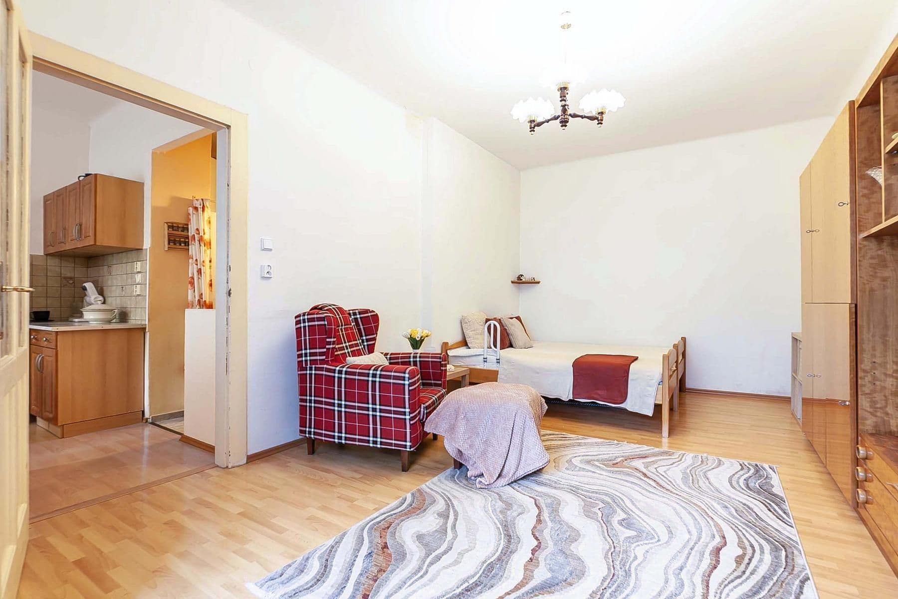 1 bedroom with open-plan kitchen flat for sale, 41 m², Nemocniční, Prague, Prague 1 bedroom with open-plan kitchen flat for sale, 41 m², Nemocniční, Prague, Prague