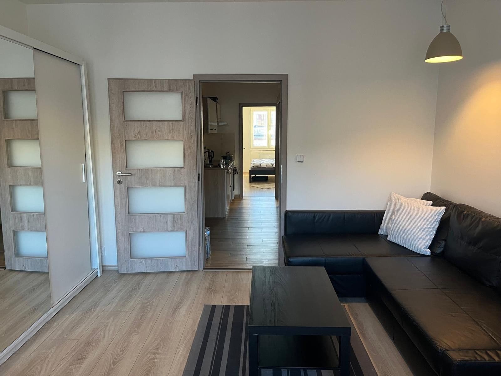 1 bedroom with open-plan kitchen flat to rent, 42 m², Lucemburská, Prague, Prague 1 bedroom with open-plan kitchen flat to rent, 42 m², Lucemburská, Prague, Prague