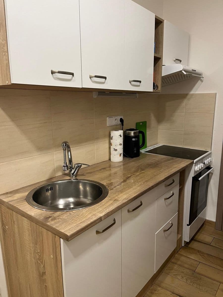 1 bedroom with open-plan kitchen flat to rent, 42 m², Lucemburská, Prague, Prague 1 bedroom with open-plan kitchen flat to rent, 42 m², Lucemburská, Prague, Prague