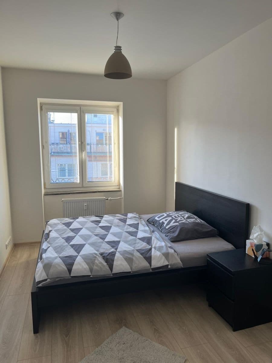 1 bedroom with open-plan kitchen flat to rent, 42 m², Lucemburská, Prague, Prague 1 bedroom with open-plan kitchen flat to rent, 42 m², Lucemburská, Prague, Prague