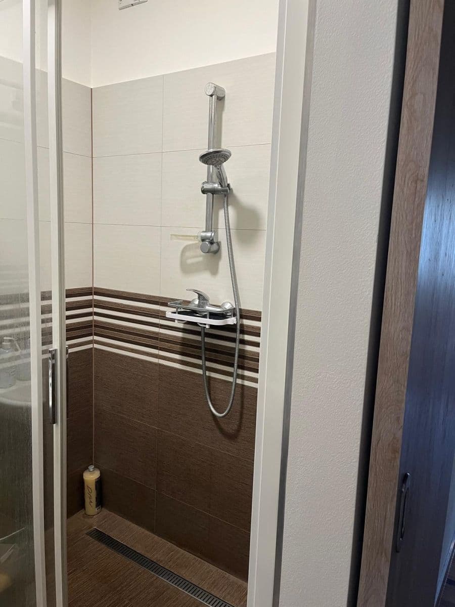 1 bedroom with open-plan kitchen flat to rent, 42 m², Lucemburská, Prague, Prague 1 bedroom with open-plan kitchen flat to rent, 42 m², Lucemburská, Prague, Prague