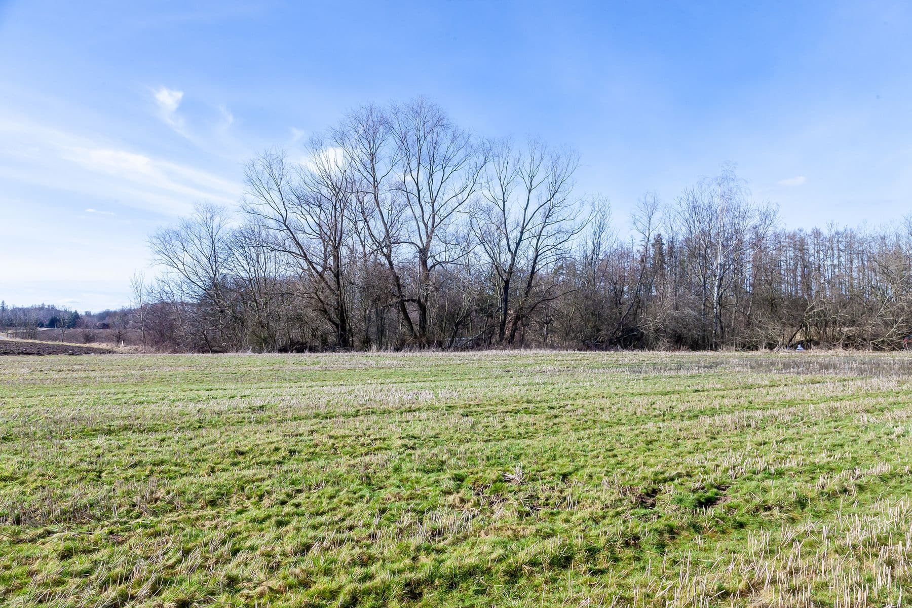 plot for sale, 5,987 m², Lesní, Úhonice, Středočeský Region plot for sale, 5,987 m², Lesní, Úhonice, Středočeský Region