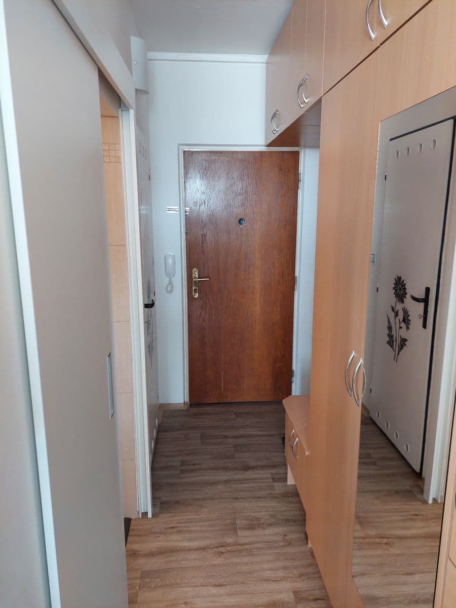 1 bedroom with open-plan kitchen flat to rent, 36 m², Srbská, Brno, Jihomoravský Region 1 bedroom with open-plan kitchen flat to rent, 36 m², Srbská, Brno, Jihomoravský Region