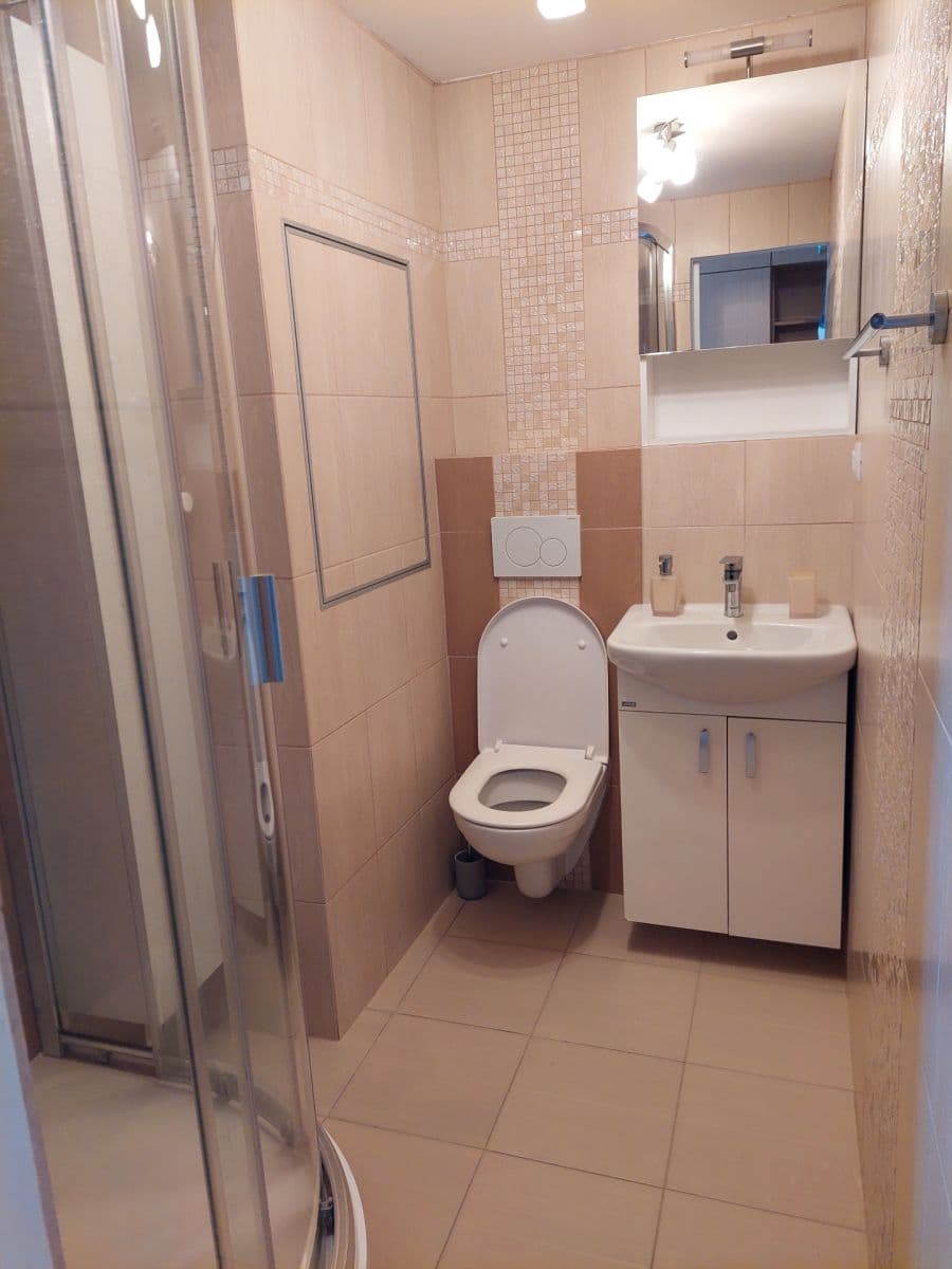 1 bedroom with open-plan kitchen flat to rent, 36 m², Srbská, Brno, Jihomoravský Region 1 bedroom with open-plan kitchen flat to rent, 36 m², Srbská, Brno, Jihomoravský Region