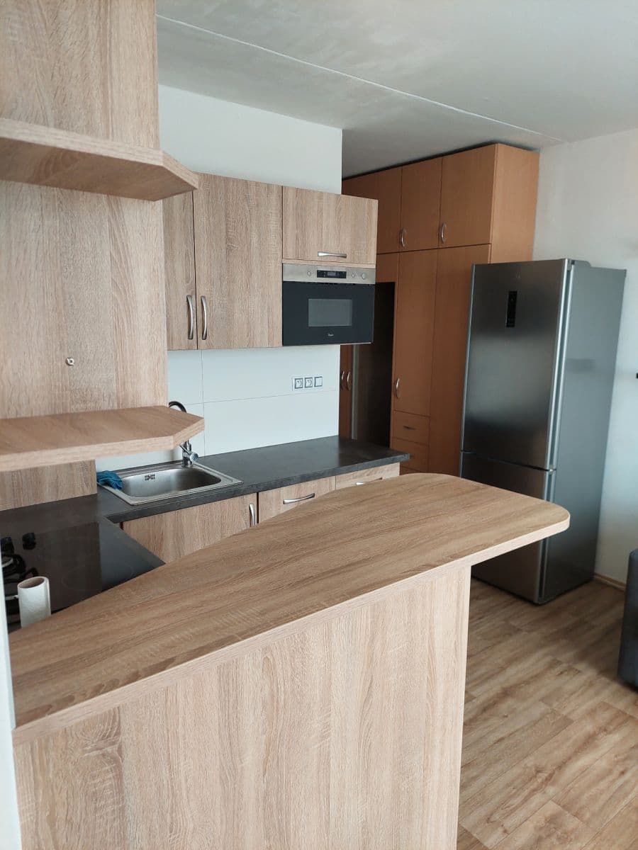 1 bedroom with open-plan kitchen flat to rent, 36 m², Srbská, Brno, Jihomoravský Region 1 bedroom with open-plan kitchen flat to rent, 36 m², Srbská, Brno, Jihomoravský Region