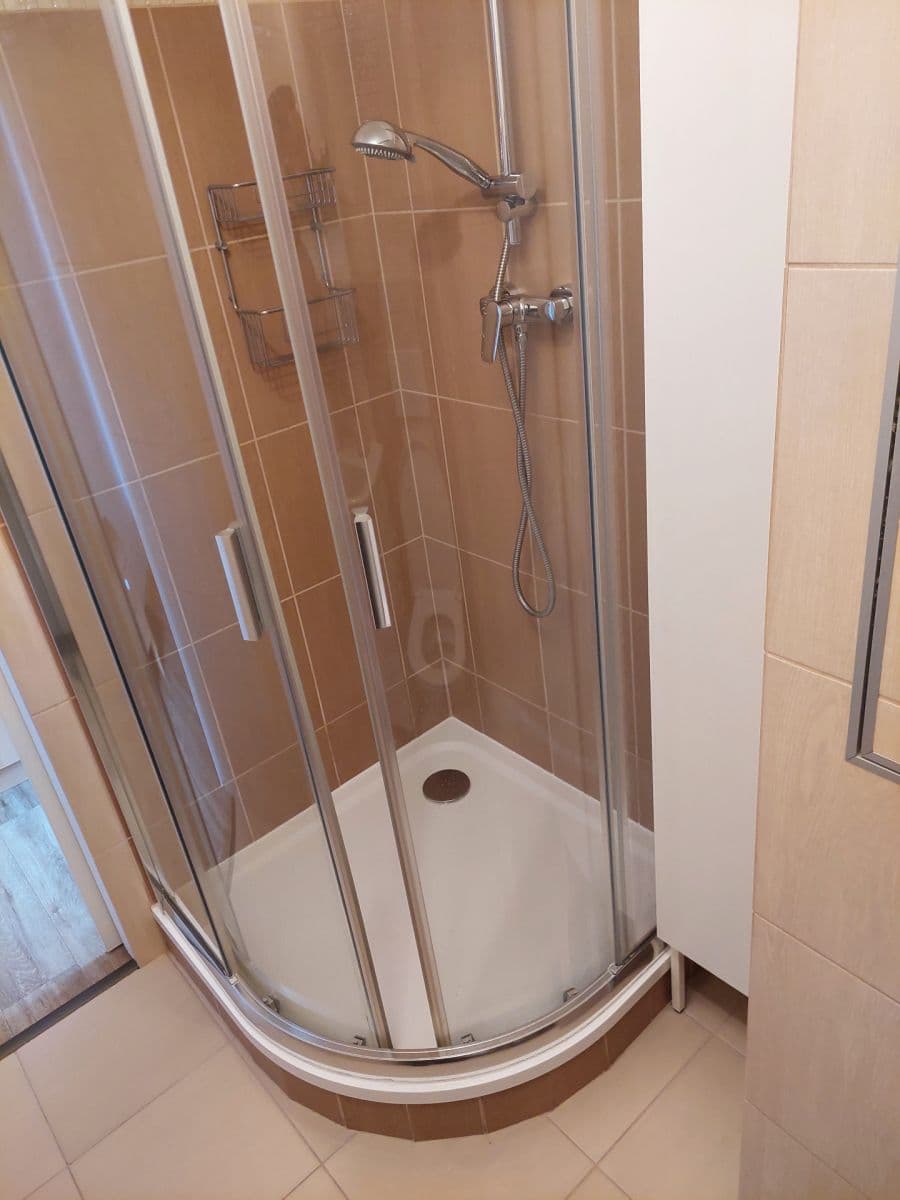 1 bedroom with open-plan kitchen flat to rent, 36 m², Srbská, Brno, Jihomoravský Region 1 bedroom with open-plan kitchen flat to rent, 36 m², Srbská, Brno, Jihomoravský Region