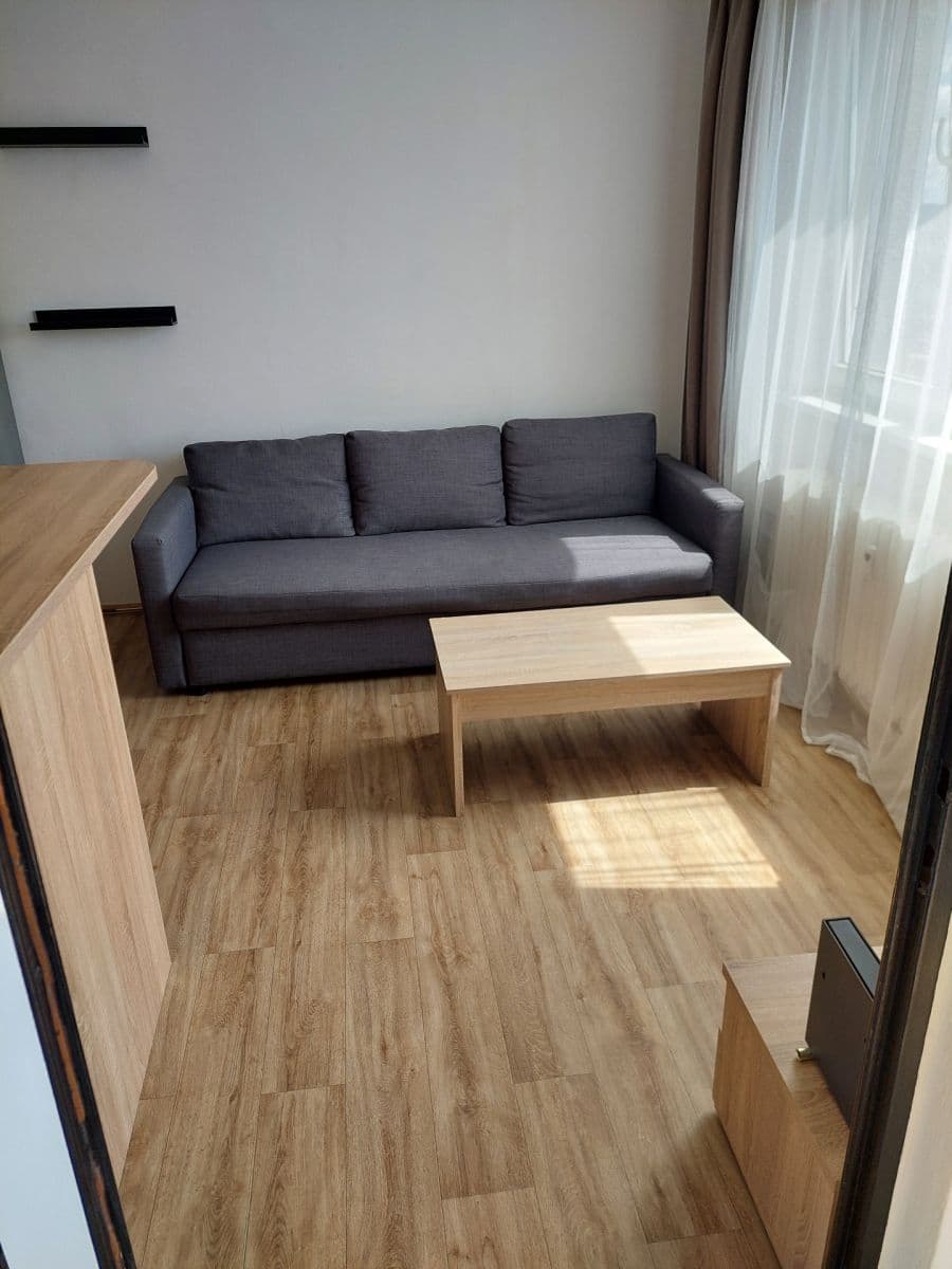 1 bedroom with open-plan kitchen flat to rent, 36 m², Srbská, Brno, Jihomoravský Region 1 bedroom with open-plan kitchen flat to rent, 36 m², Srbská, Brno, Jihomoravský Region