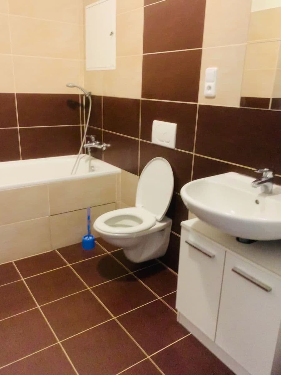 1 bedroom with open-plan kitchen flat to rent, 65 m², Pod Formankou, Prague, Prague 1 bedroom with open-plan kitchen flat to rent, 65 m², Pod Formankou, Prague, Prague