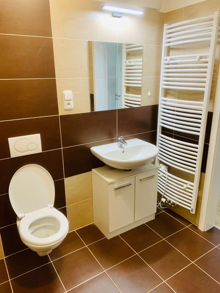 1 bedroom with open-plan kitchen flat to rent, 65 m², Pod Formankou, Prague, Prague 1 bedroom with open-plan kitchen flat to rent, 65 m², Pod Formankou, Prague, Prague